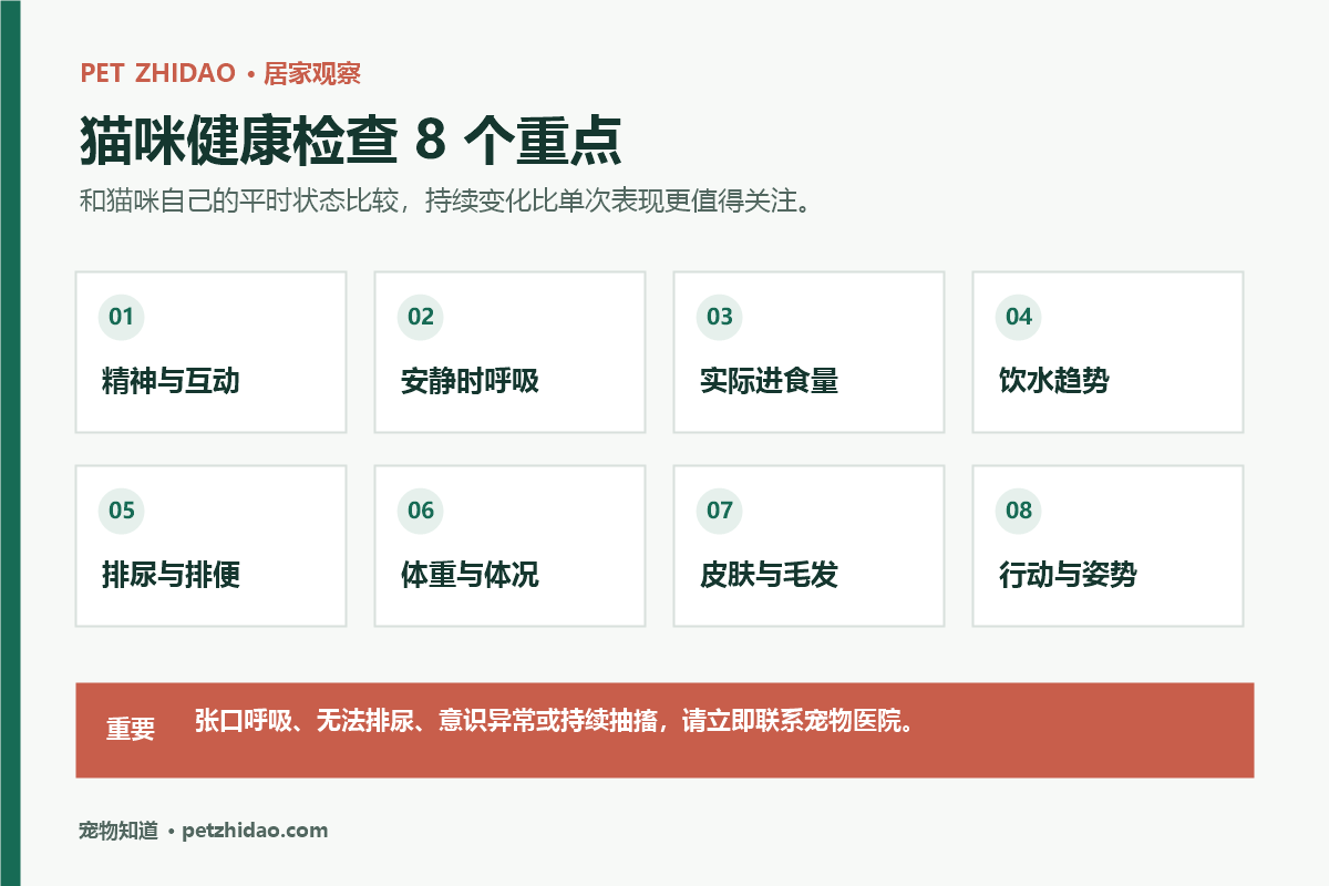 猫咪居家健康观察八项检查示意图